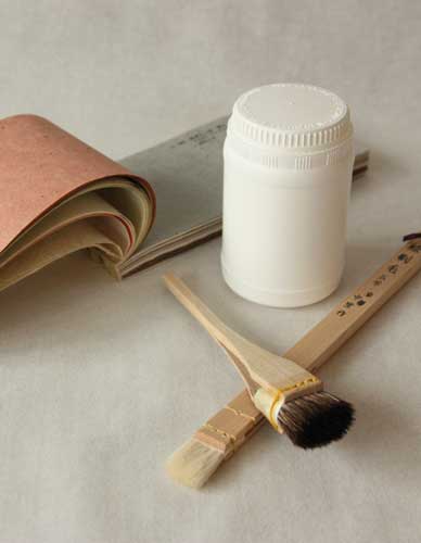 Colle méthypropylcellulose en poudre sans conservateur